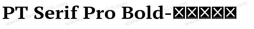 PT Serif Pro Bold字体转换